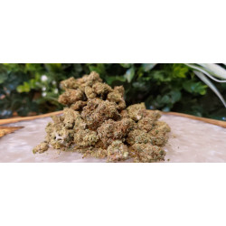 Gelato CBD
