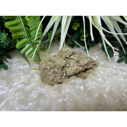 Cannatonic