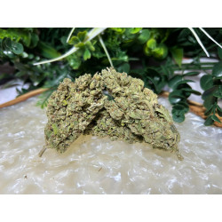 Silver Haze CBD