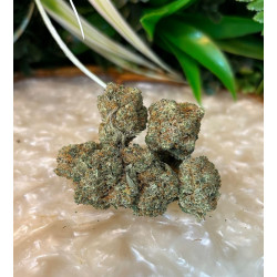 Strawberry V2 CBD
