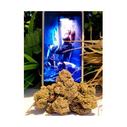 Harlequeen Cannatonic V2 CBD