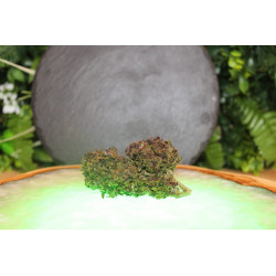 Purple Haze CBD