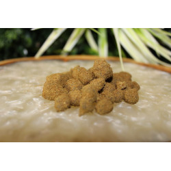 Moon Rock CBD