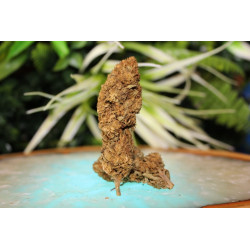 NYC Diesel CBD