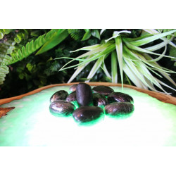 Olive Charas CBD 5G