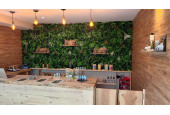 house of green